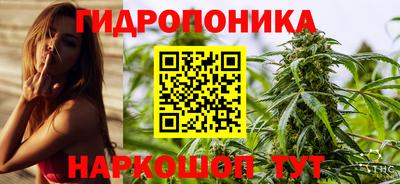 гидра Славгород