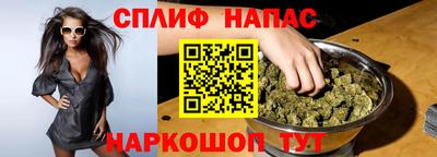 гидра Славгород