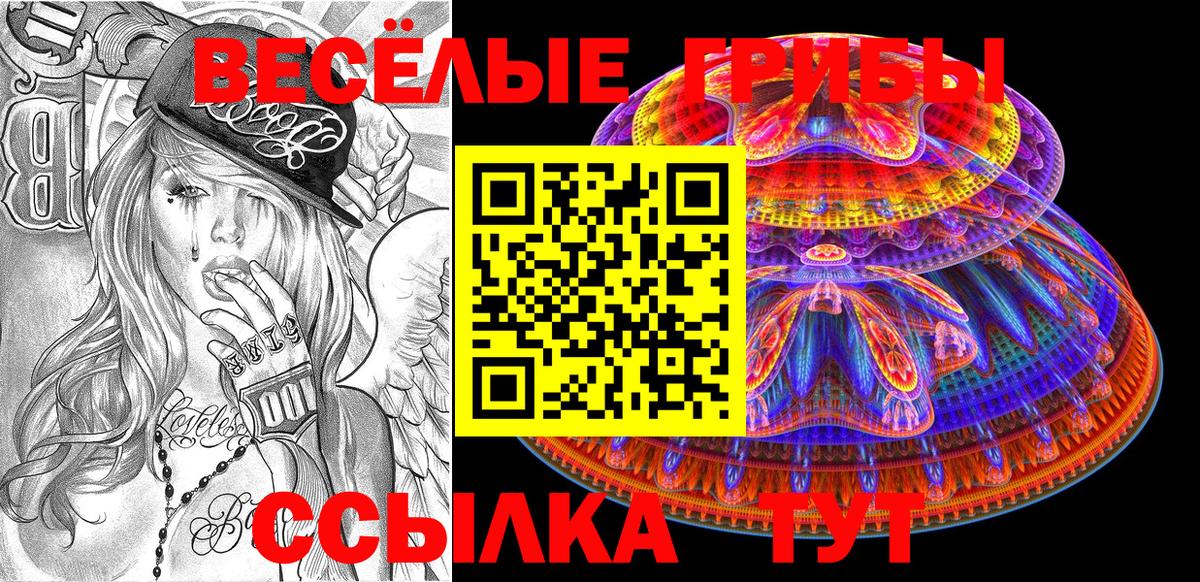 Псилоцибиновые грибы Cubensis  Вход с VPN  купить наркоту  Псилоцибиновые грибы Psilocybine cubensis  Нижний Новгород 